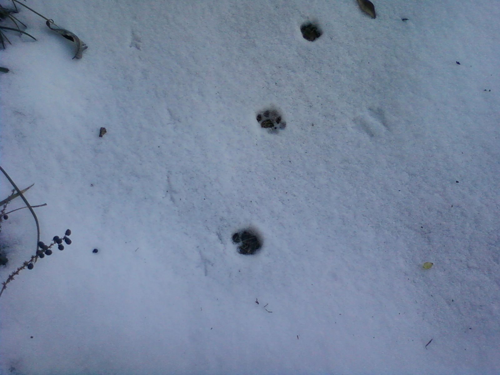 49 County News Archive